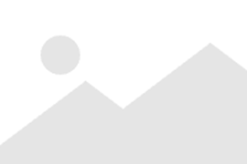 又是一年惊蛰，万物复苏